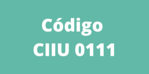 Código CIIU 0111