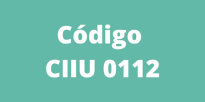 Código CIIU 0112