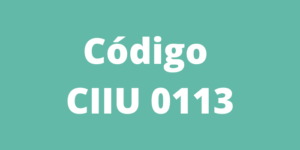 Código CIIU 0113