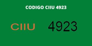 CODIGO CIIU 4923