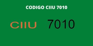 CODIGO CIIU 7010