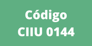 Código CIIU 0144