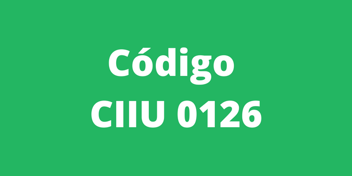 Código CIIU 0126