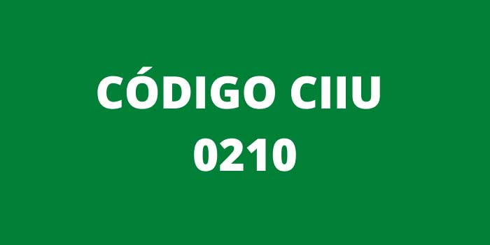 CODIGO CIIU 0210