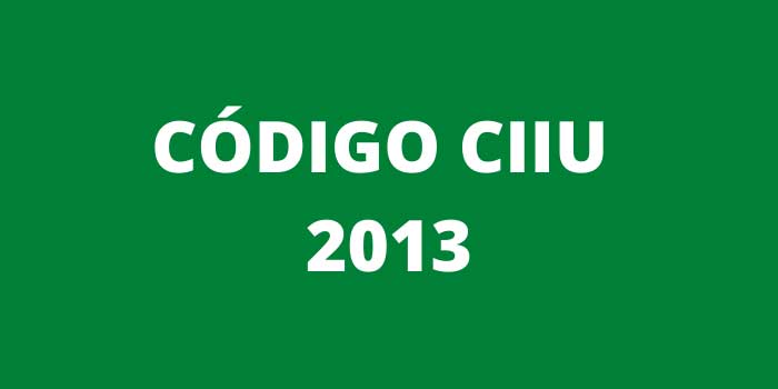 CODIGO CIIU 2013