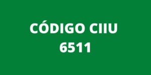 CODIGO CIIU 6511