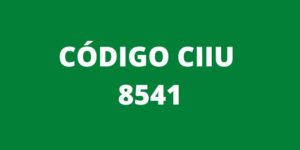 CODIGO CIIU 8541