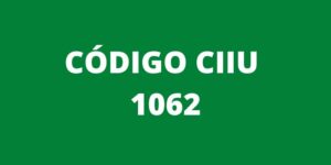 CODIGO CIIU 1062